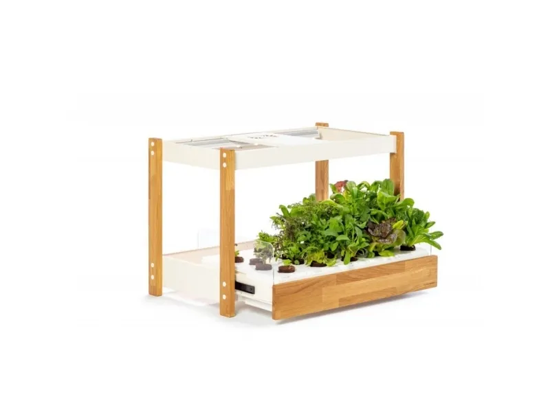 Click and Grow 25 - Black (Salad Greens 54x pack)