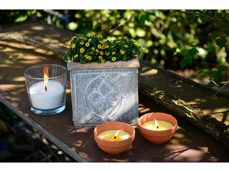 müller Kerzen Gartenkerze Citronella in Tonschale Anti-Mücken Kerze