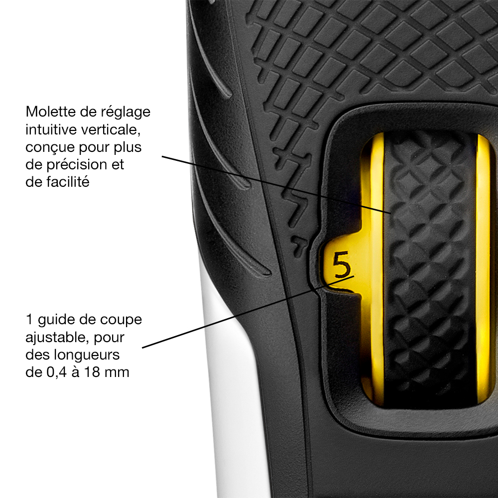 Tondeuse Barbe B4 Style Series