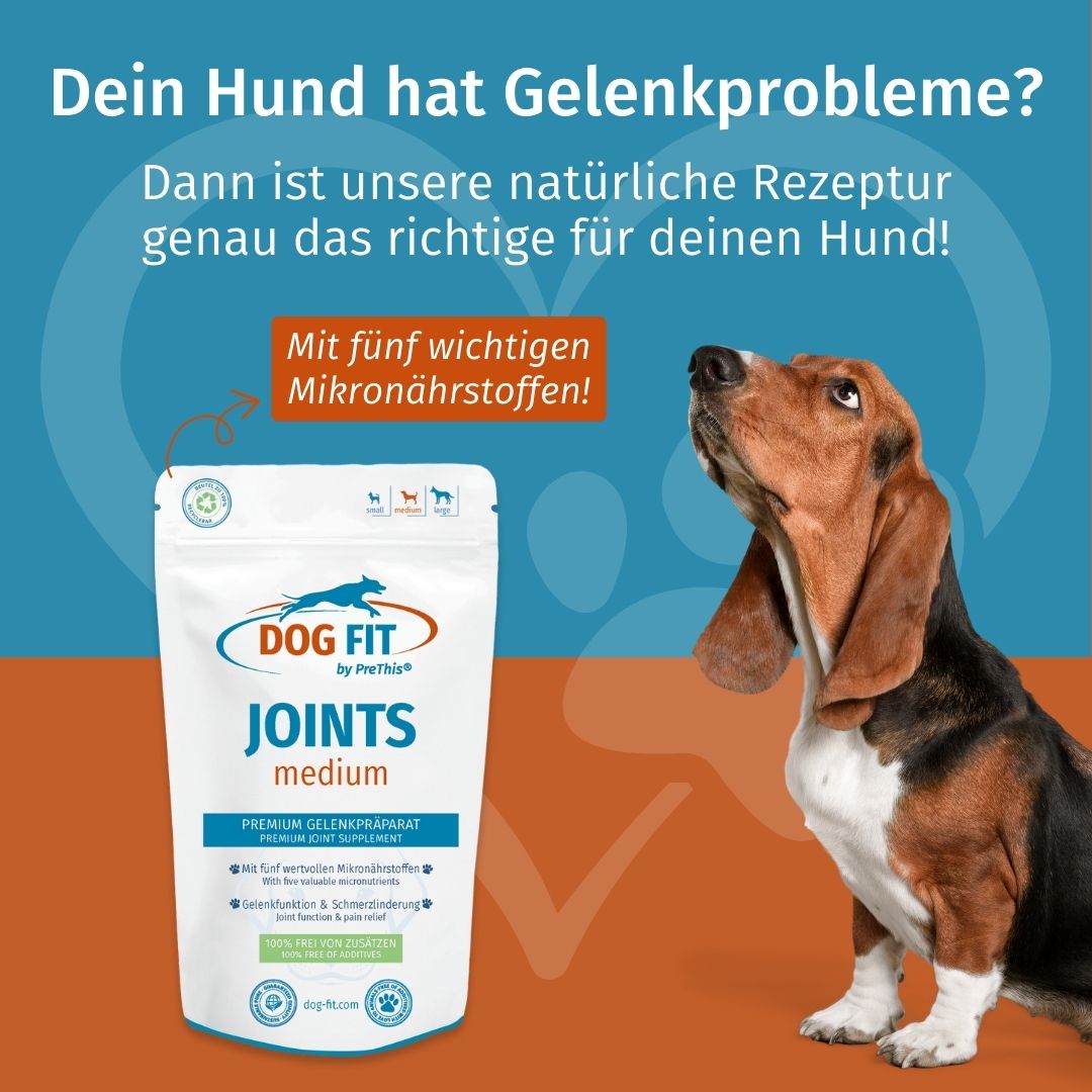 DOG FIT by PreThis® JOINTS » Natürliches Gelenkpräparat für Hunde (medium)