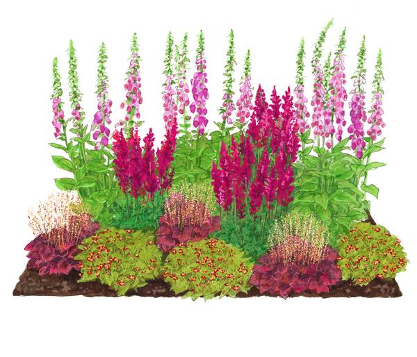 Bio Stauden-Set Schattengarten Rote Akzente,