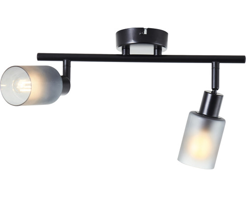 Plafondspot, 2-lichts, HxBxD 18x39,5x8 cm, zwart/rookglas