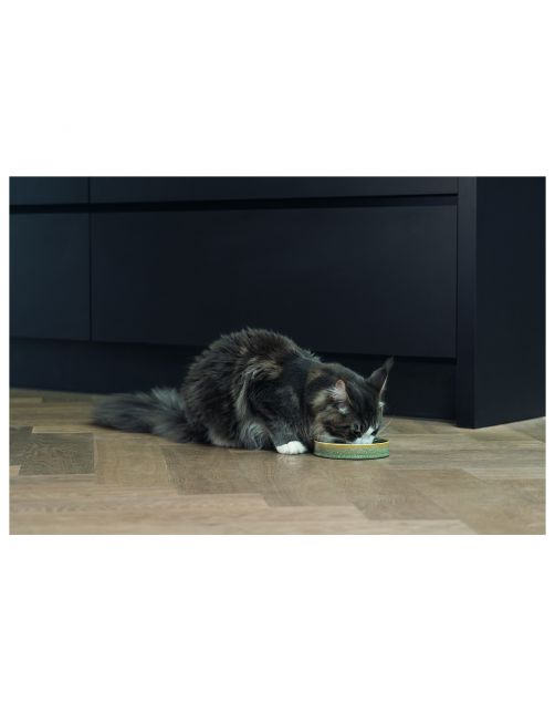 Designed By Lotte Keramieke Eetbak Kat Jace - Kattenvoerbak - 15x15x3 cm 400 g Zwart