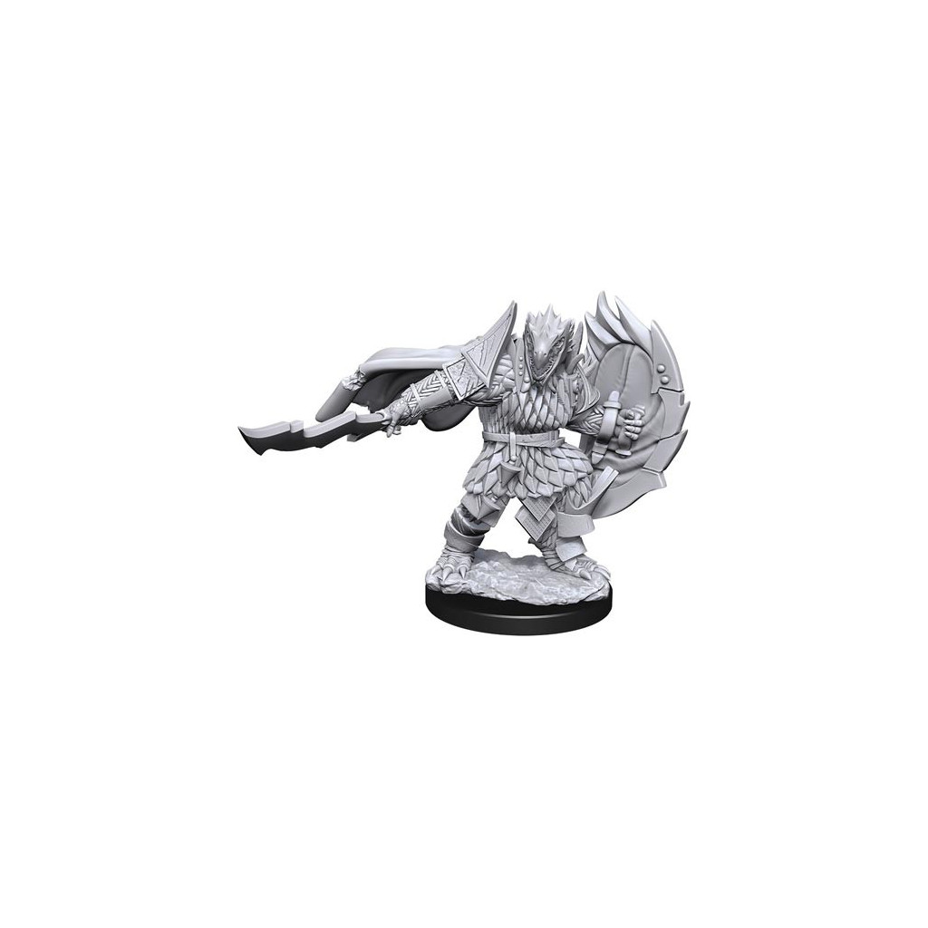 D&D Nolzur's Marvelous Unpainted Miniatures: Male Dragonborn Fighter