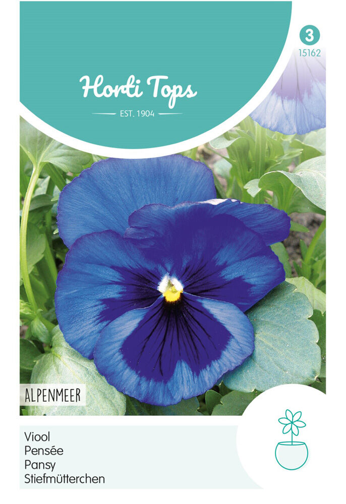 Hortitops Viool Alpenmeer - Bloemzaden
