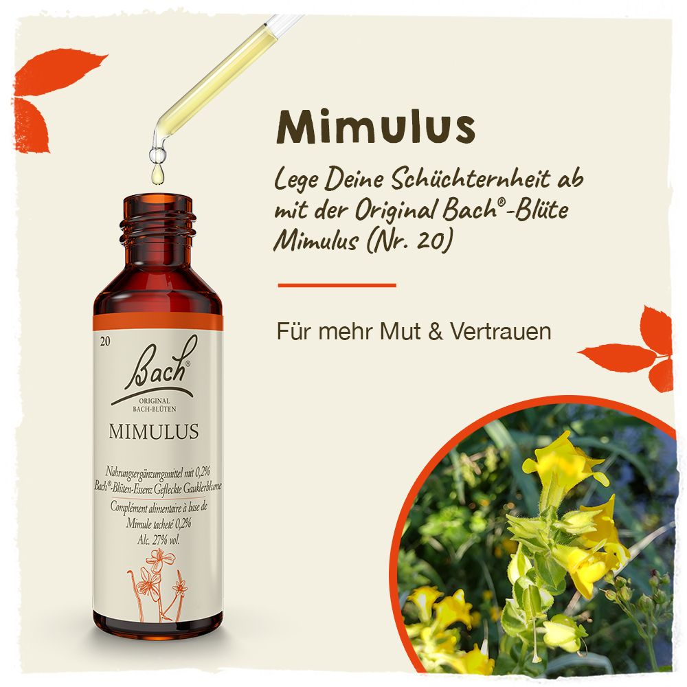 BACH®-BLÜTE MIMULUS (Gefleckte Gauklerblume)