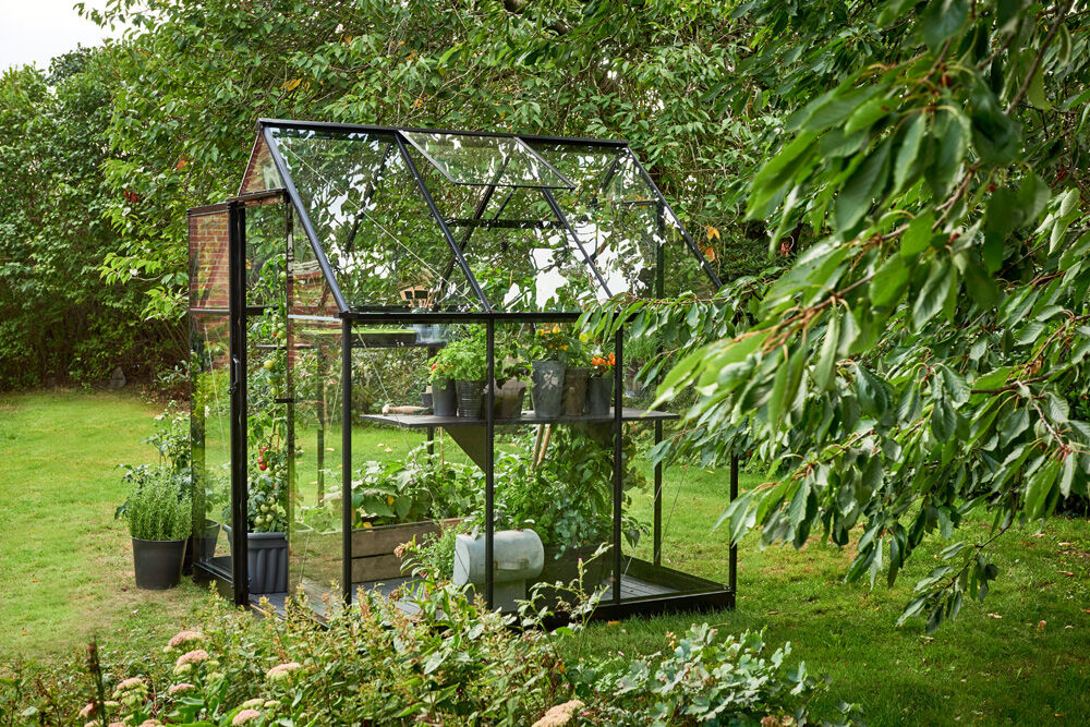 Halls Qube 66 - Tuinkas - zwart - 219x198x198 cm - Veiligheidsglas