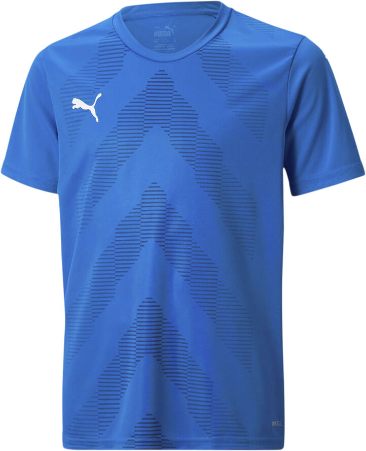 Puma teamGLORY T-shirt Blå