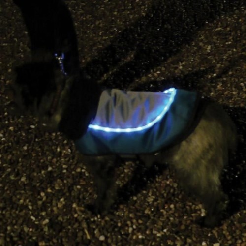 Jaqueta iluminada por LED azul-rosa e preta para cães