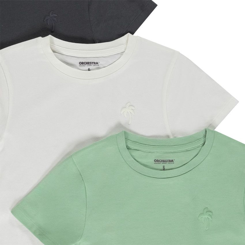 Lot de 3 t-shirts manches courtes puff print palmier pour garçon - Ecru