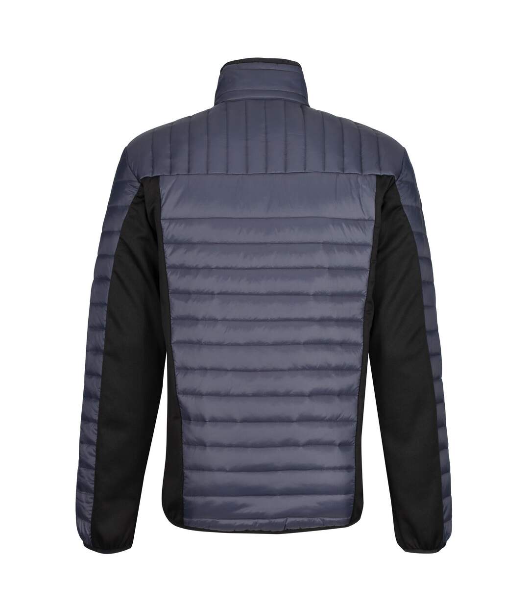 Regatta - Veste TOURER - Homme (Anthracite / Noir) - UTRG6354