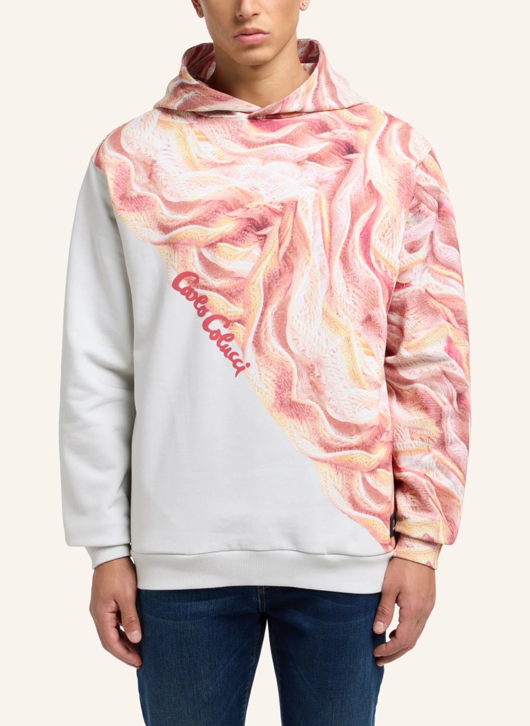 CARLO COLUCCI Hoodie - Artificial Knit DRAICCHIO