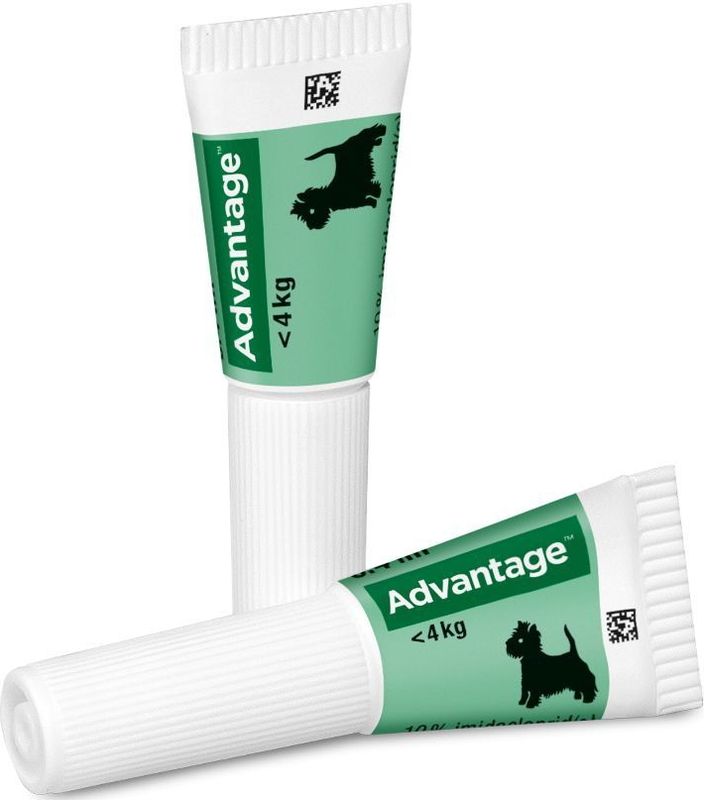 Advantage Anti Vlooiendruppels 40 Hond 1,5 - 4 kg 4 pipetten