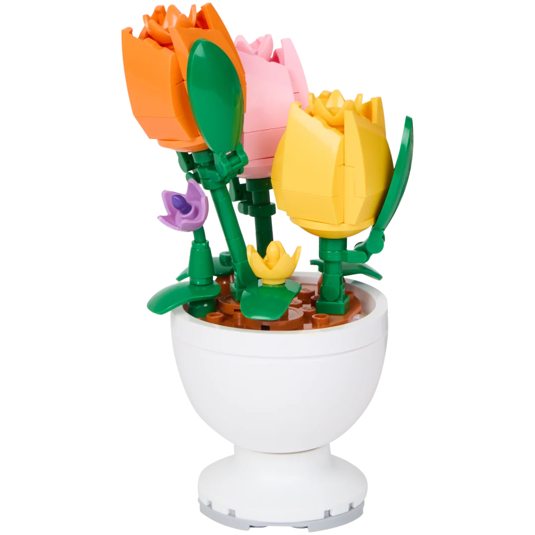 Kit de construction fleurs Sluban