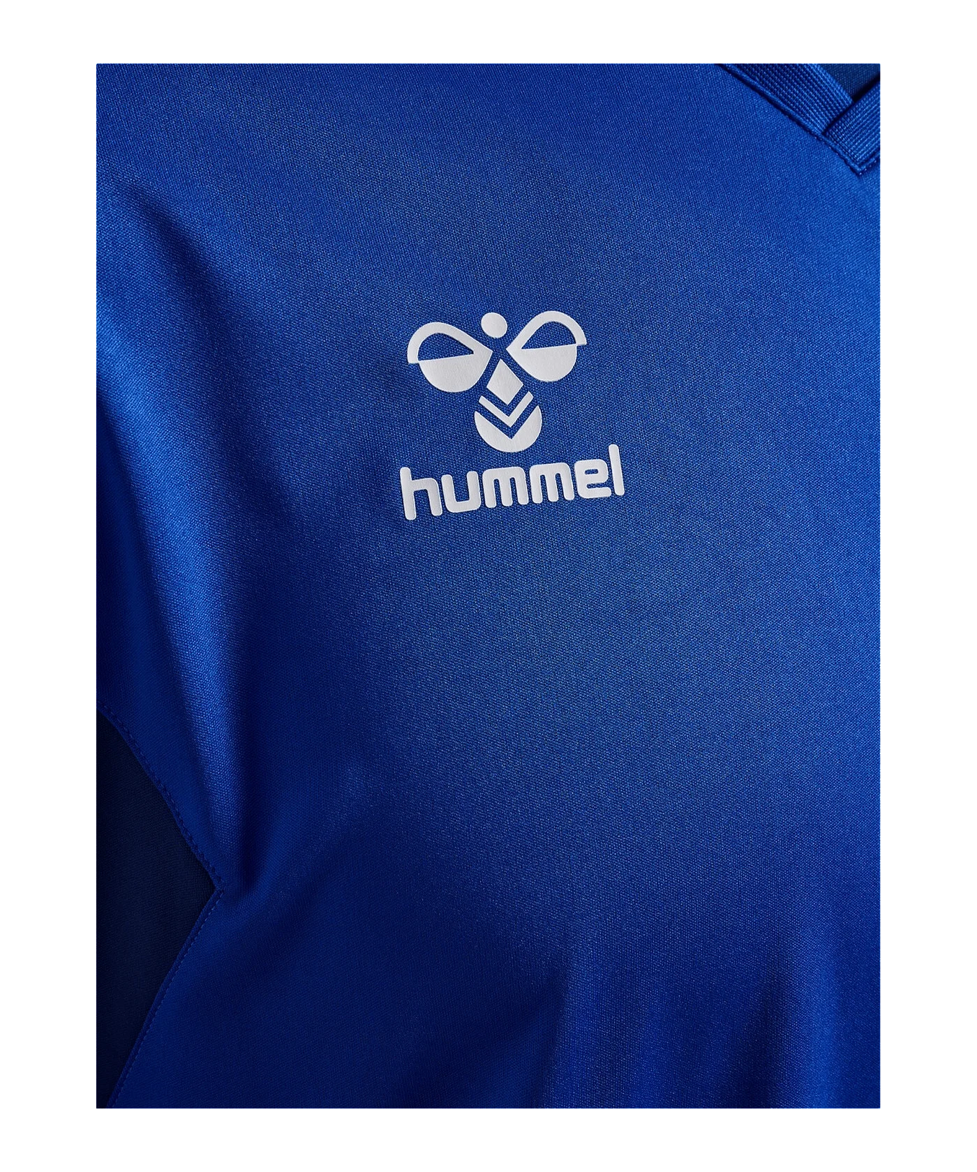 Hummel hmlAUTHENTIC PL langarm Trikot Blau F7045