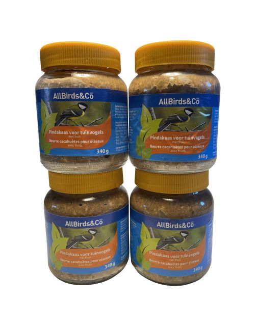 Allbirds&Co Vogelpindakaas - Tuinvogelvoer - Fruit 340 g