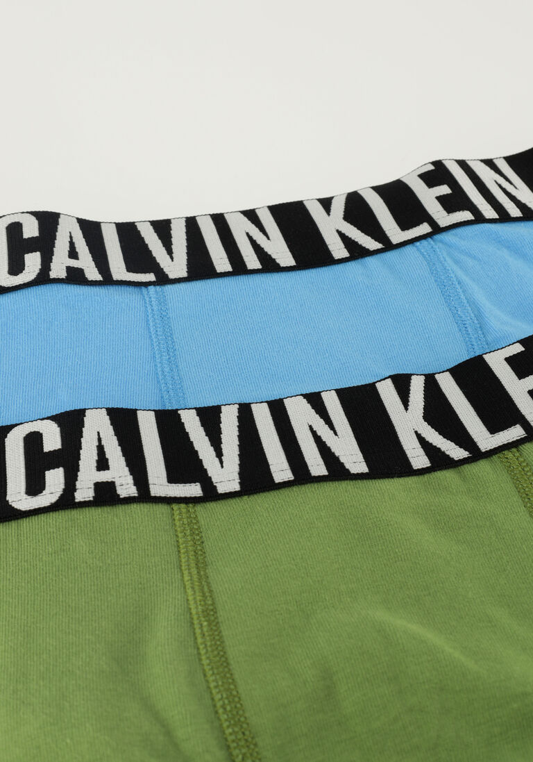 CALVIN KLEIN blauwe calvin klein boxershort 2pk trunk