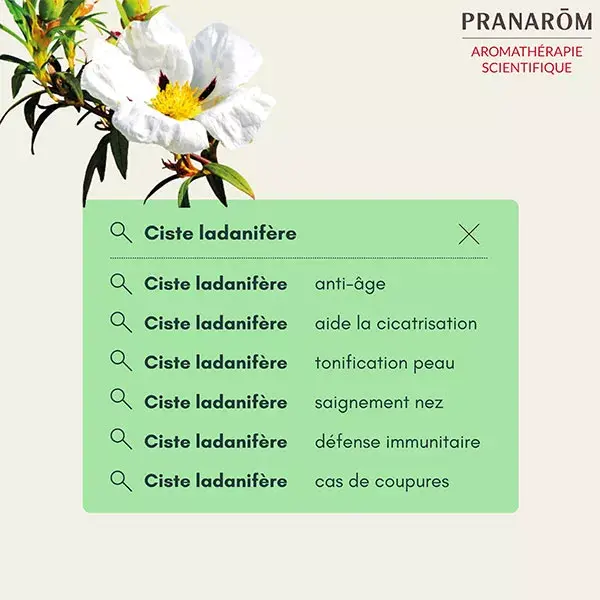 Pranarom Óleo Essencial Orgânico de Cistus Ladaniferus 5ml