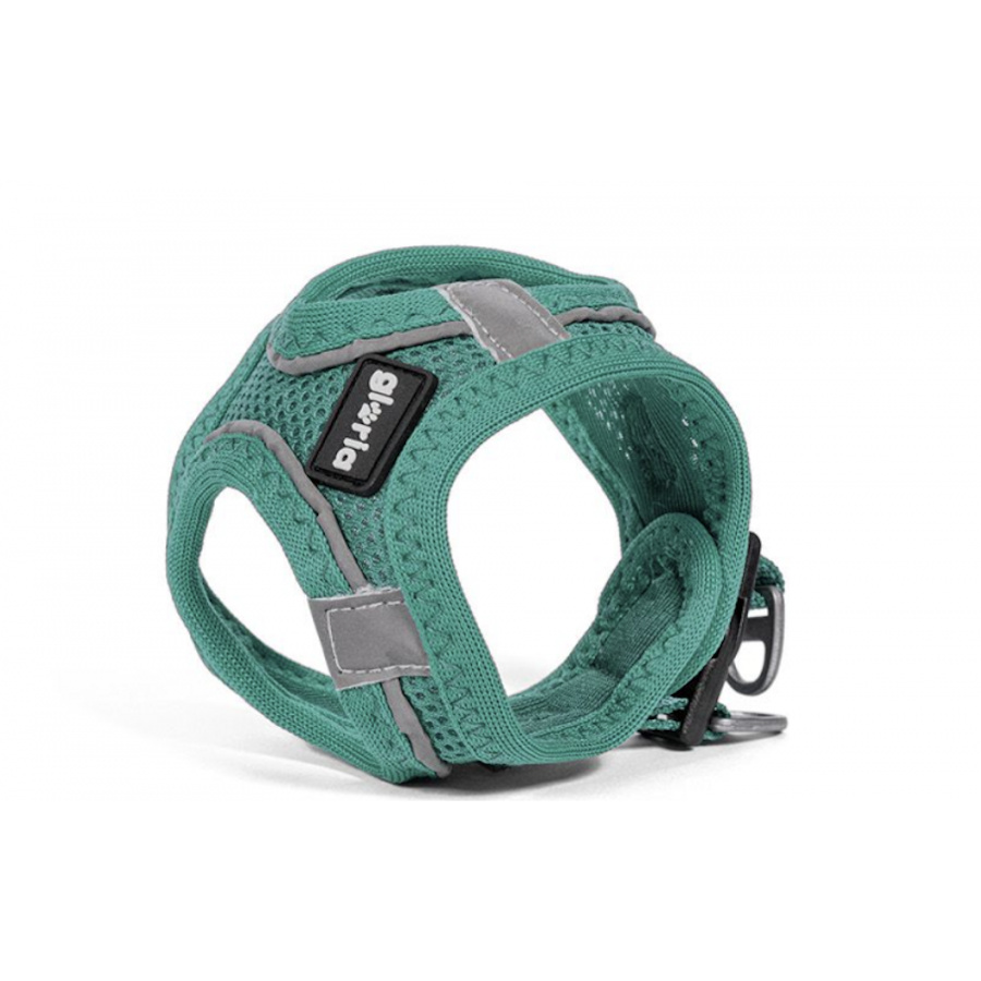 Colete/Vestido para Cães Gloria Air Mesh Trek Star Turquesa