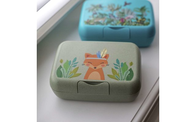Koziol Candy L Box Lunchbox / Brotdose mit Trennschale