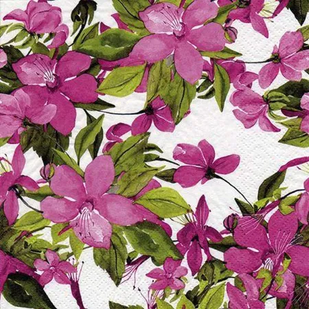 ti-flair Servietten Clematis, 24x24cm, 20 Stück