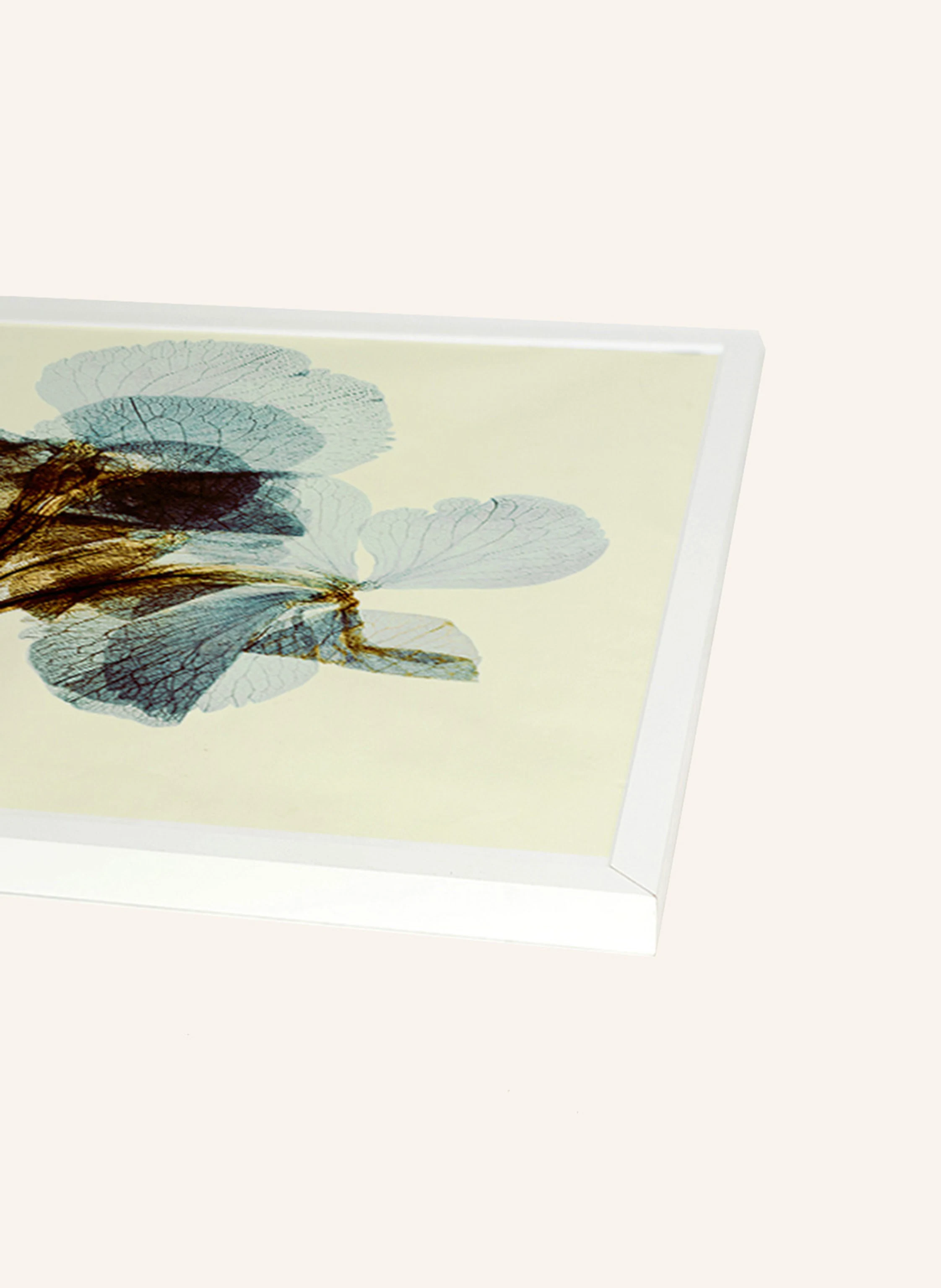 ANY IMAGE Wandbild BLUMENTEXTUR mit Rahmen