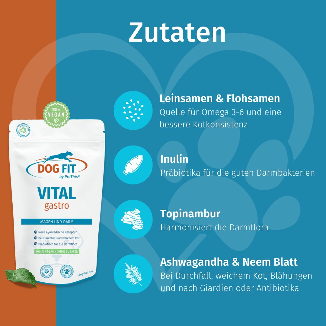 DOG FIT by PreThis® VITAL gastro » Bei Verdauungsproblemen, Durchfall und weichem Kot