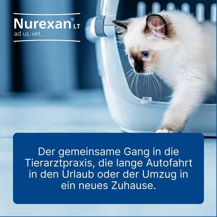 Nurexan LT ad us. vet. Tabletten, 500 St