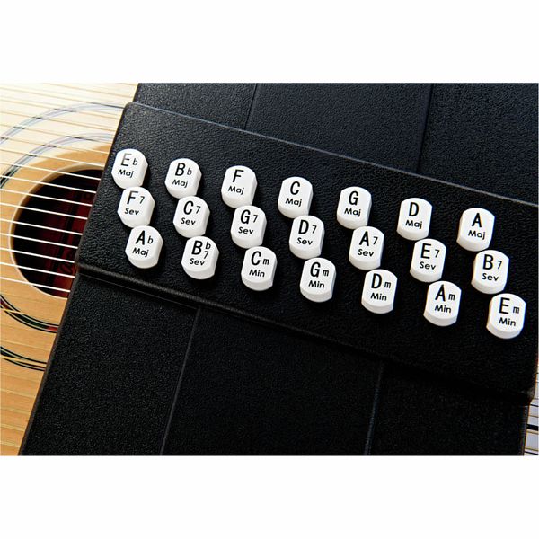 Oscar Schmidt OS120CNE Autoharp Adirondack