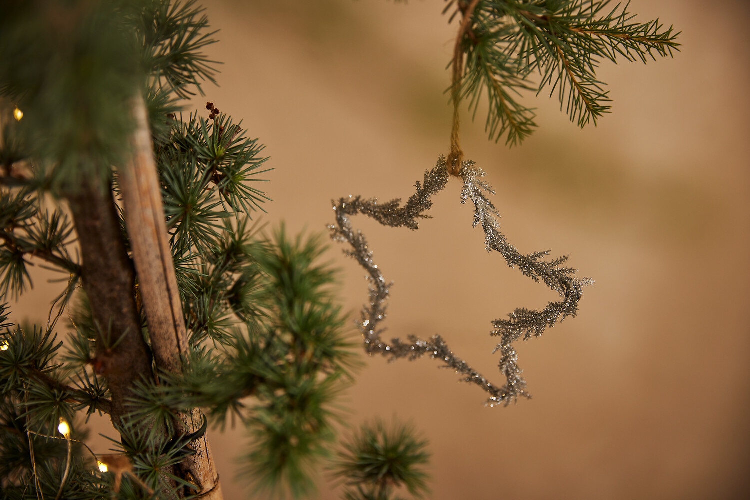 Creativ deco Dekostern »Weihnachtsstern, Glitter, Weihnachtsdeko«