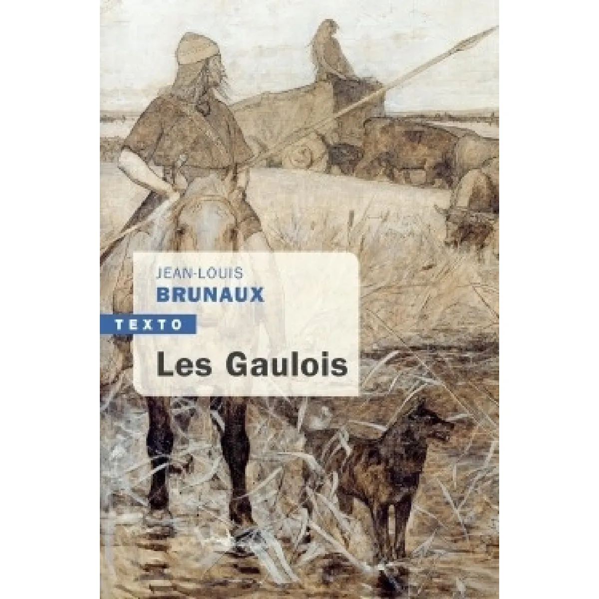 Les Gaulois · Occasion