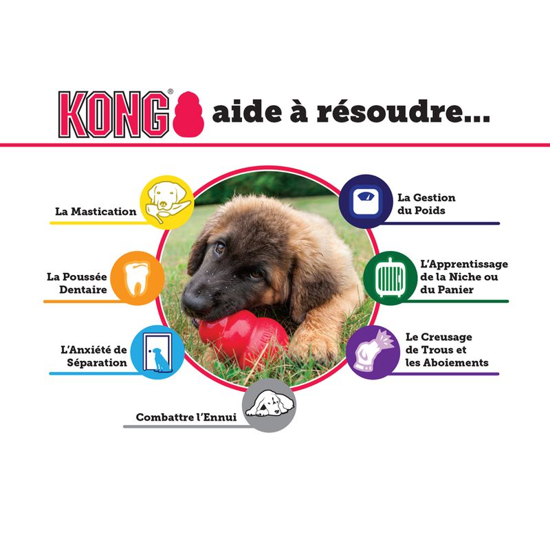 Jouet KONG Puppy