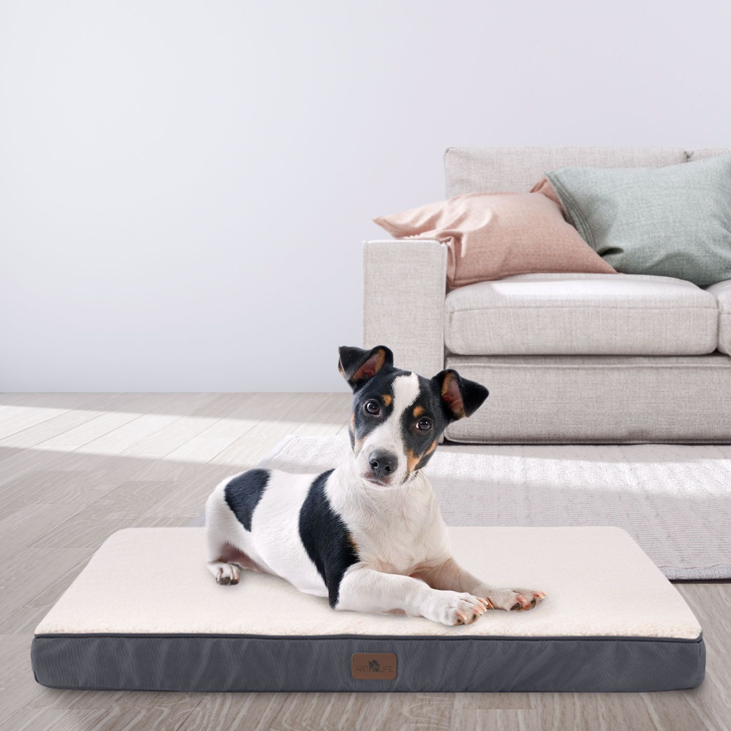 Juskys Hundebett Milow orthopädisch & flauschig - 76x51x8 cm - Bezug abnehmbar & waschbar – beige