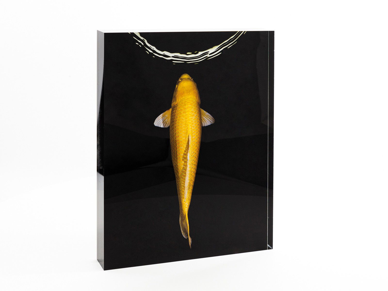 Yamabuki by Heiko Hellwig - Open Edition.