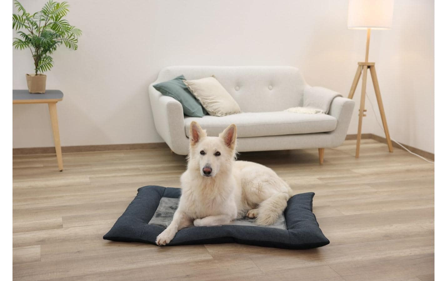 Hunde-Liegematte Platin Ortho L, GrauOrthopädisches Hundekissen