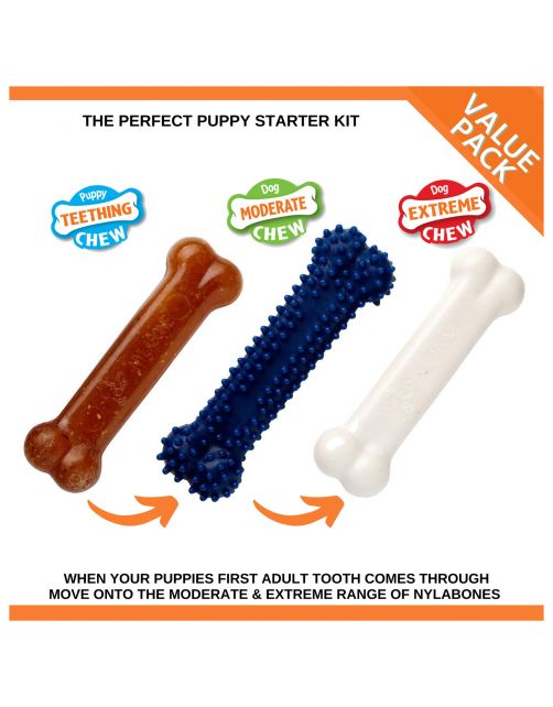 Nylabone Puppy Starter Kit Regular - Hondenspeelgoed - Kip Blauw Bruin Wit 3 stuks Voor Honden Tot 11kg S