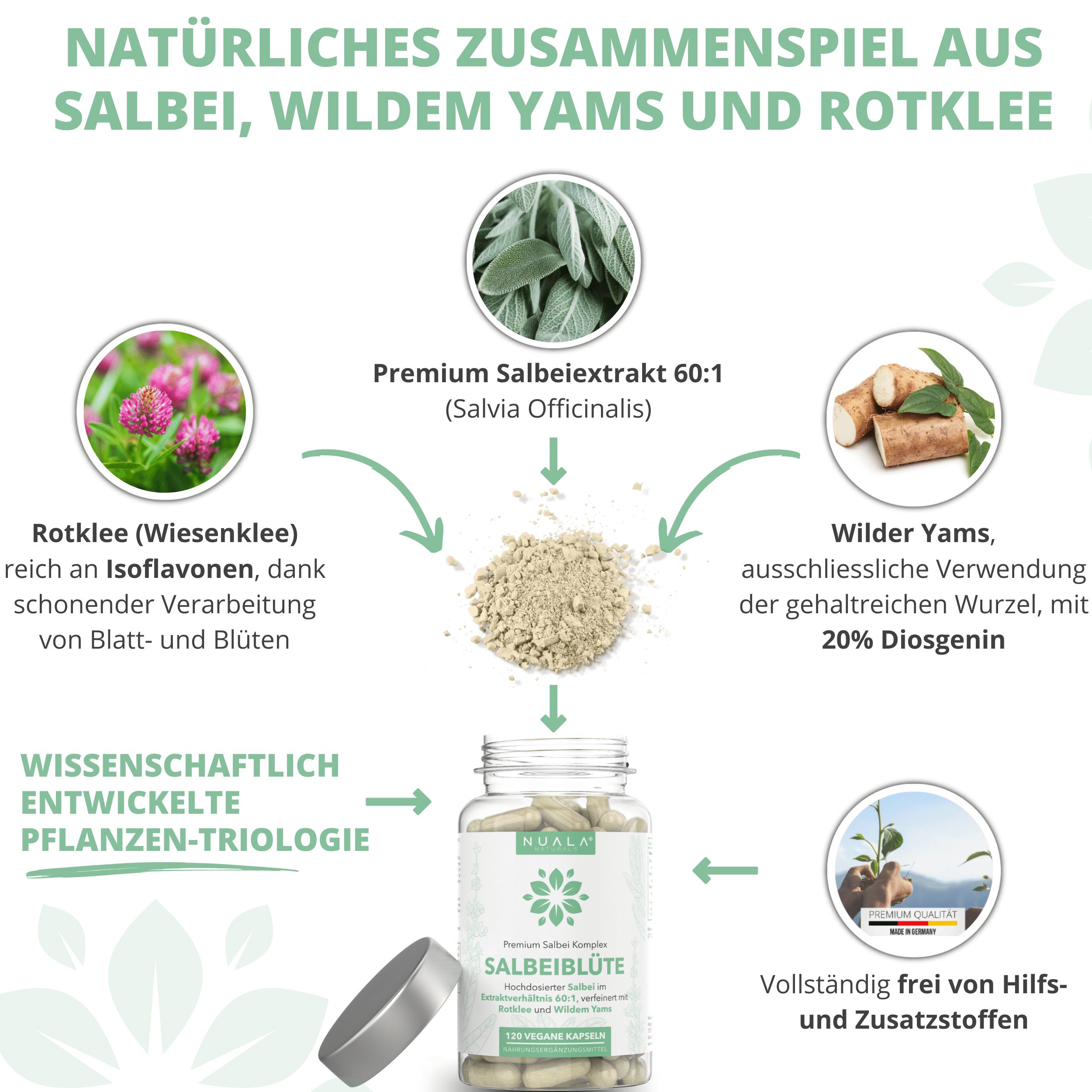 Nuala Naturals® - SALBEIBLÜTE Salbei Kapseln 60:1 mit Wildem Yams und Rotklee