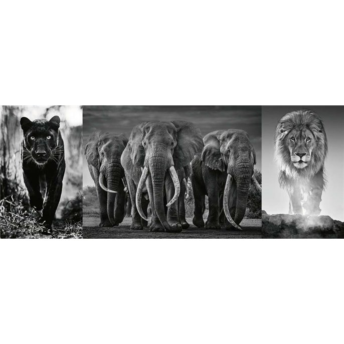 Puzzle : 1000 pièces - Triptyque Lion Panthère Eléphant