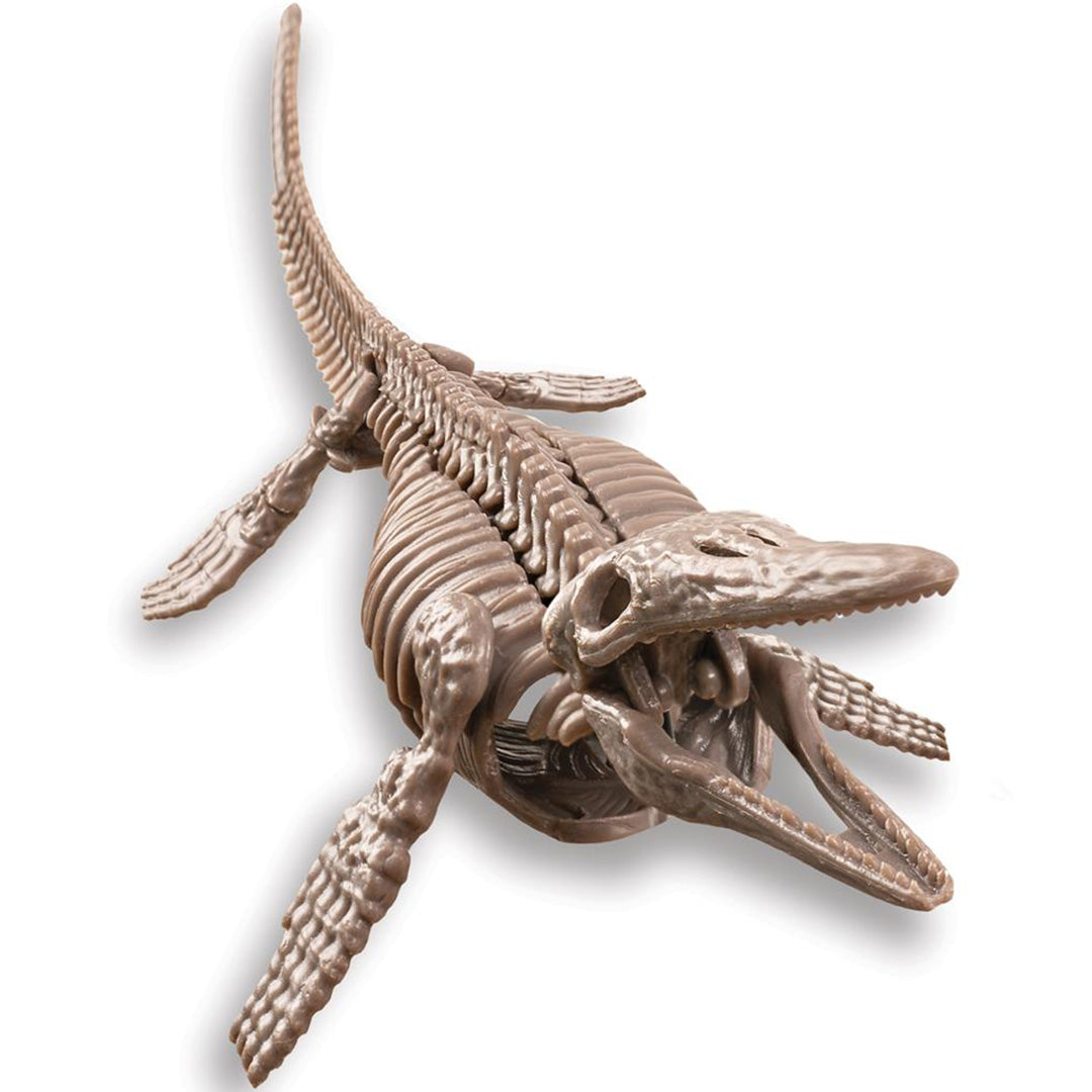 4m dinosaurus opgraven - mosasaurus