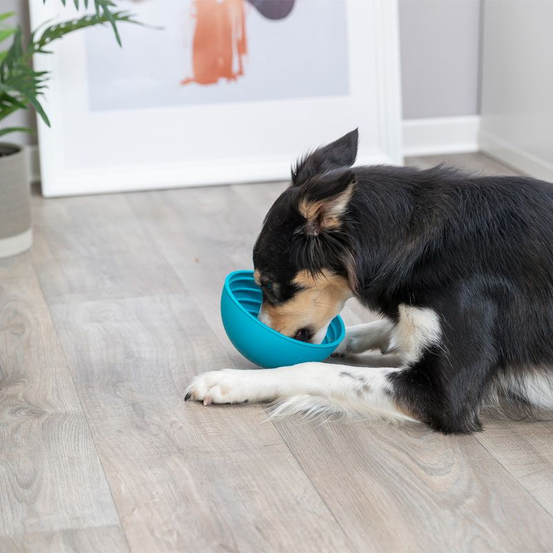 Gamelle Trixie Lick'n'Snack pour chien et chat