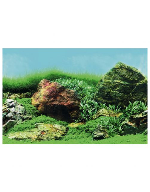 Superfish Deco Poster - Aquarium - Ornament