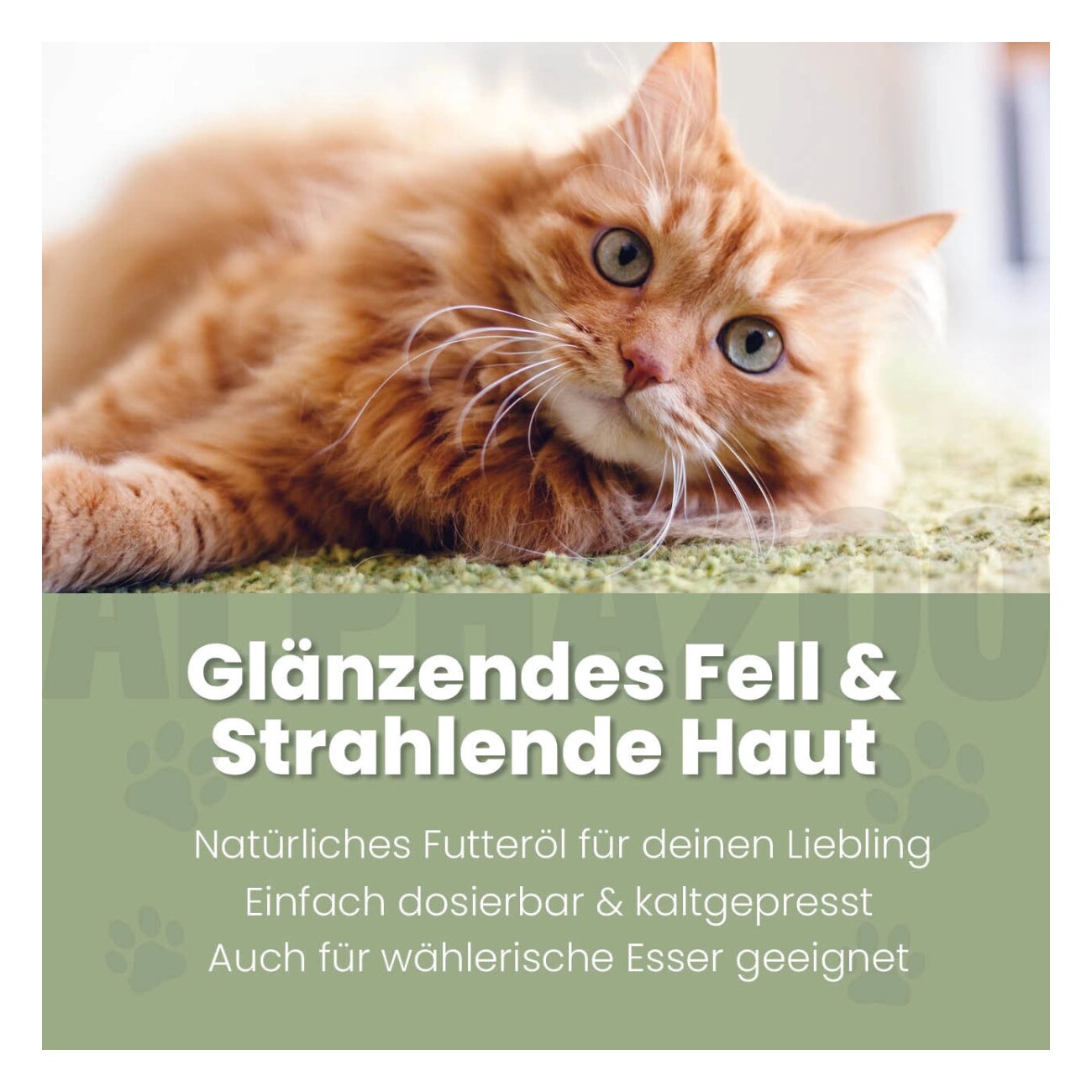 ALPHAZOO Seelenruhe Futteröl für Katzen