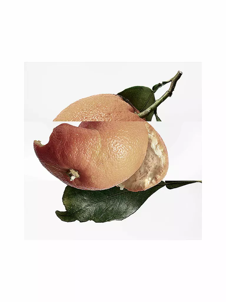 HERMÈS Eau des Merveilles Eau de Toilette 100ml keine Farbe