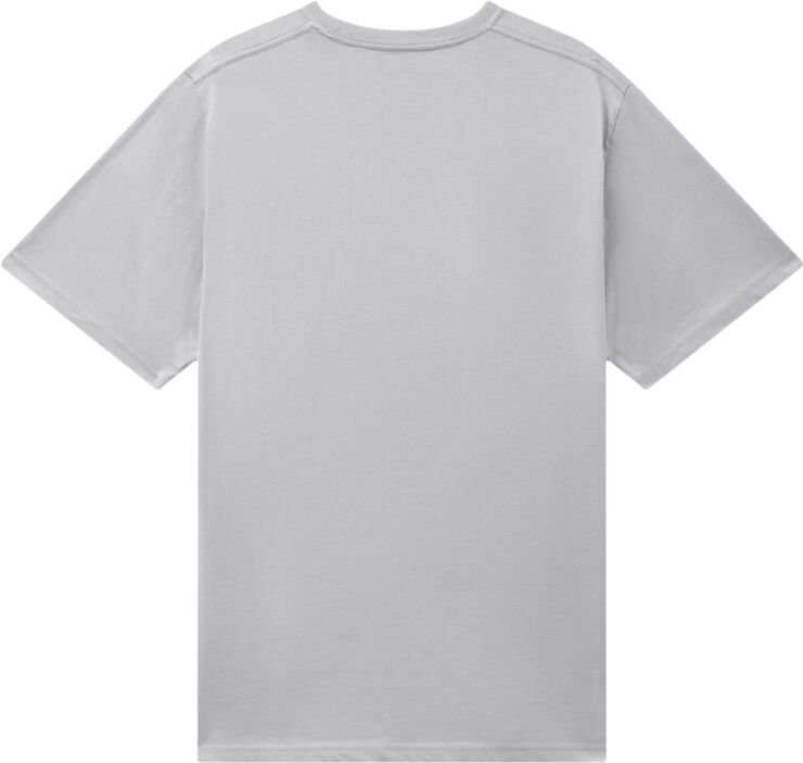 Dickies SS MAPLETON T-SHIRT GREY MELANGE Gym