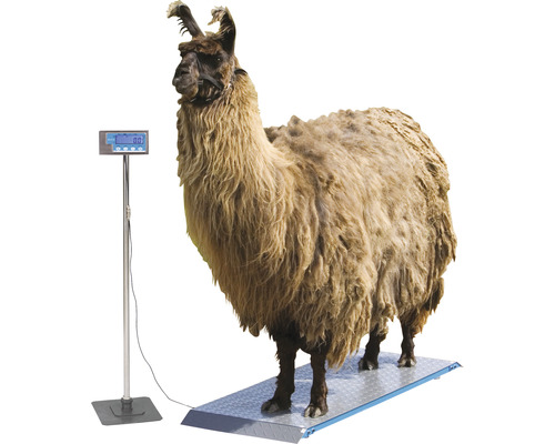 Kerbl PS 1000 dierenweegschaal, weegstappen van 200 g, weegbereik 500 kg
