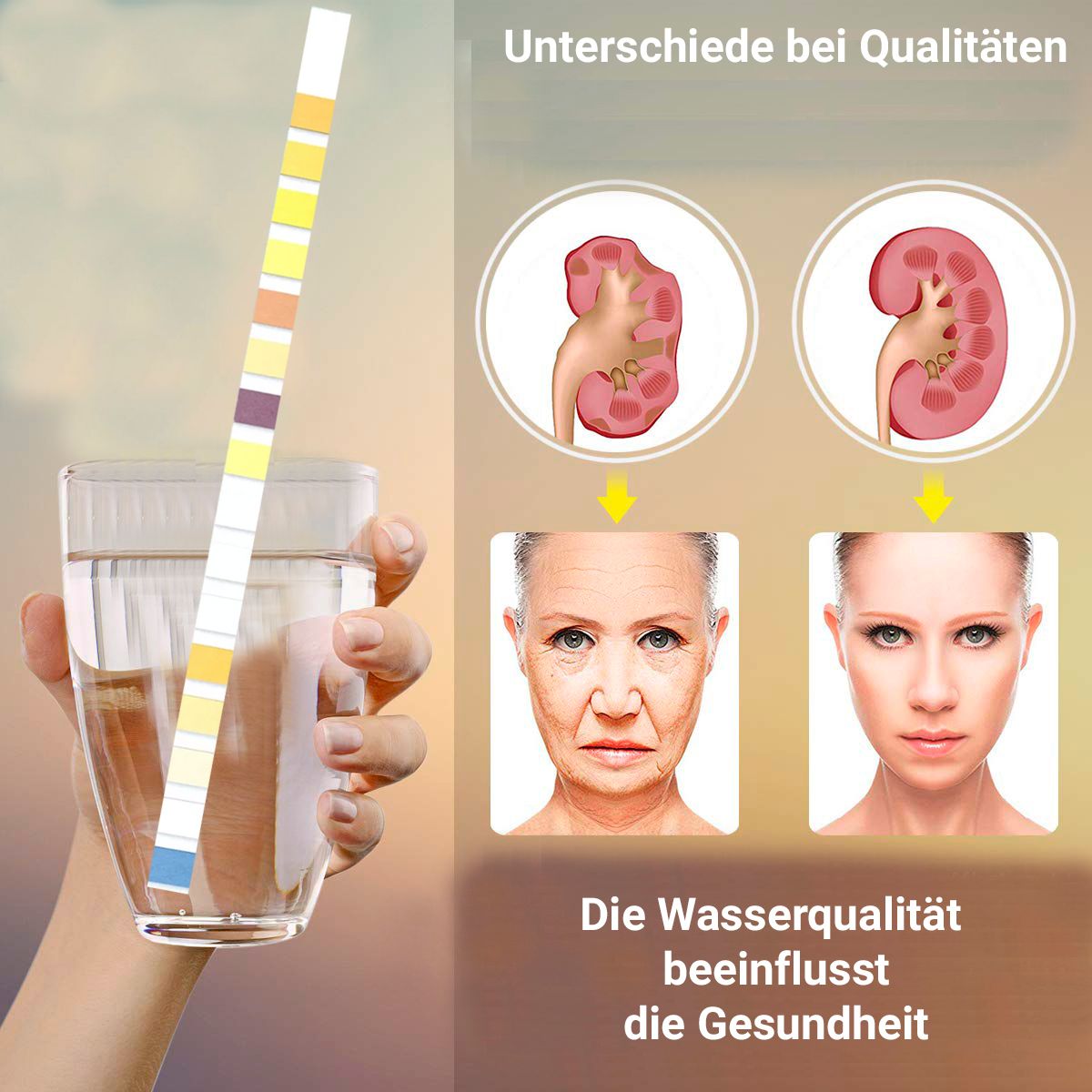 BMUT 9in1 Trinkwassertest Teststreifen für Leitungswasser