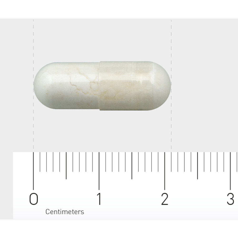 AOV 502 Calcium Pyruvaat (500 mg)60 vegacapsules