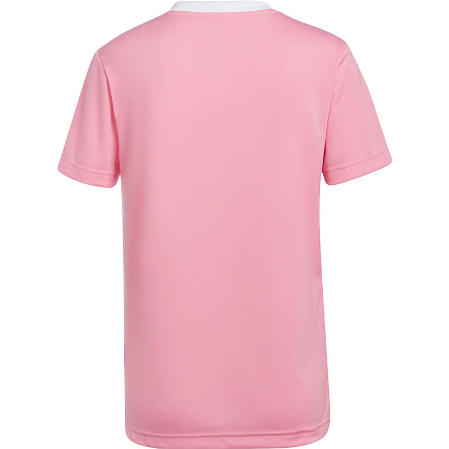 adidas Entrada 22 Training Shirt Dames
