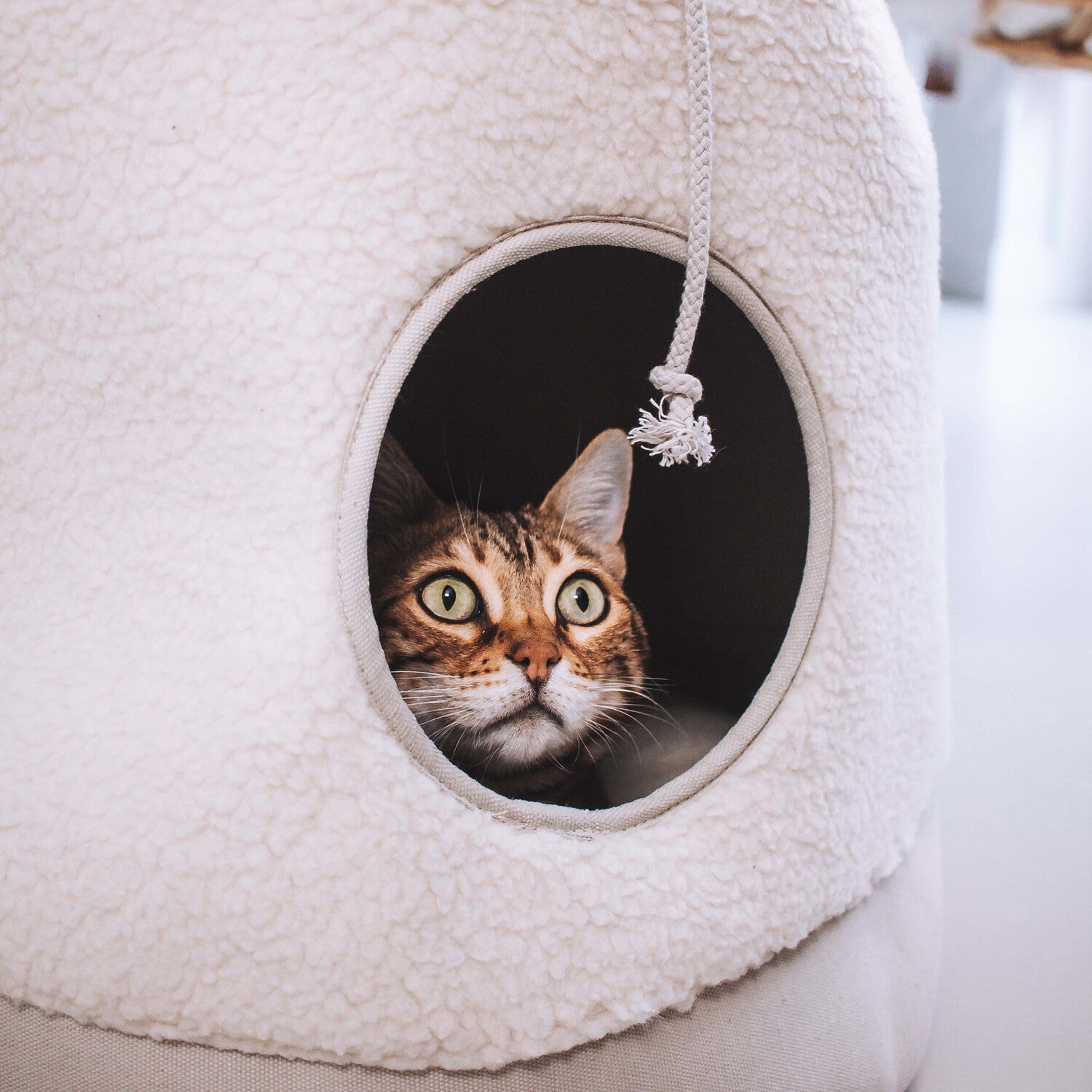 District 70 kattenmand Casa Teddy beige D 45 H 60