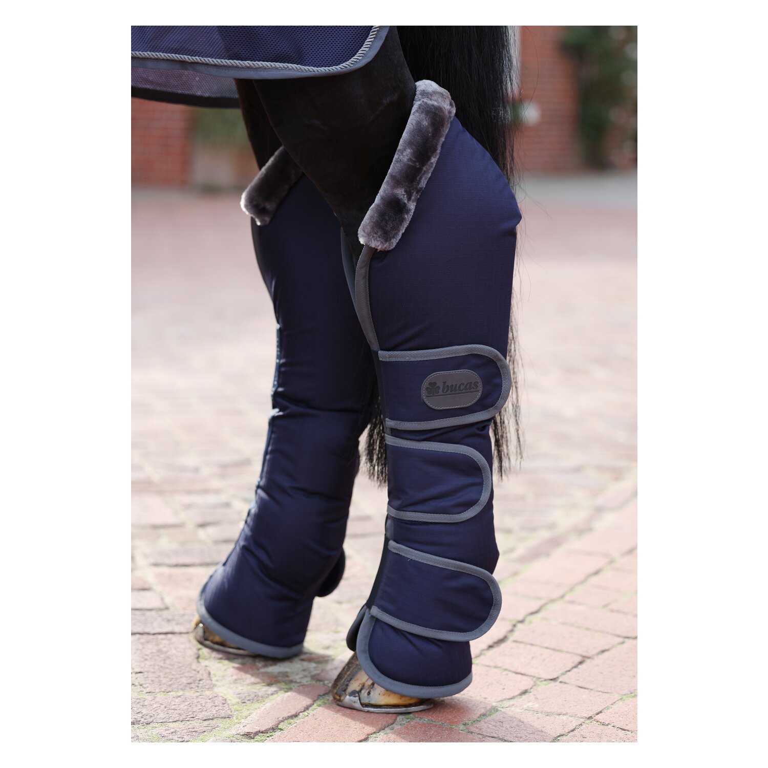 bucas Show-Line Collection Transportgamaschen  - navy/grey